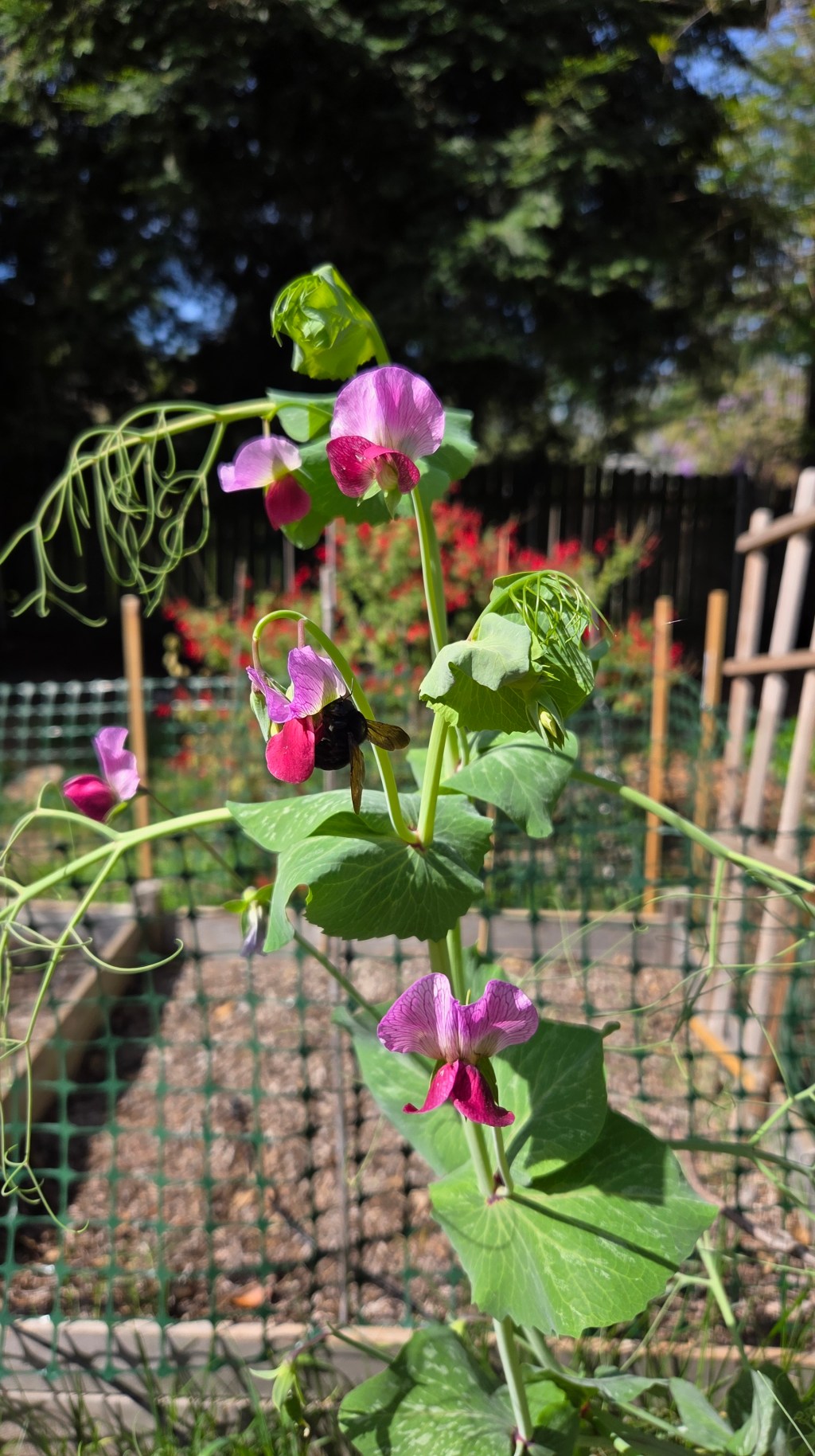 Friday the 13th Catch&nbsp;Up