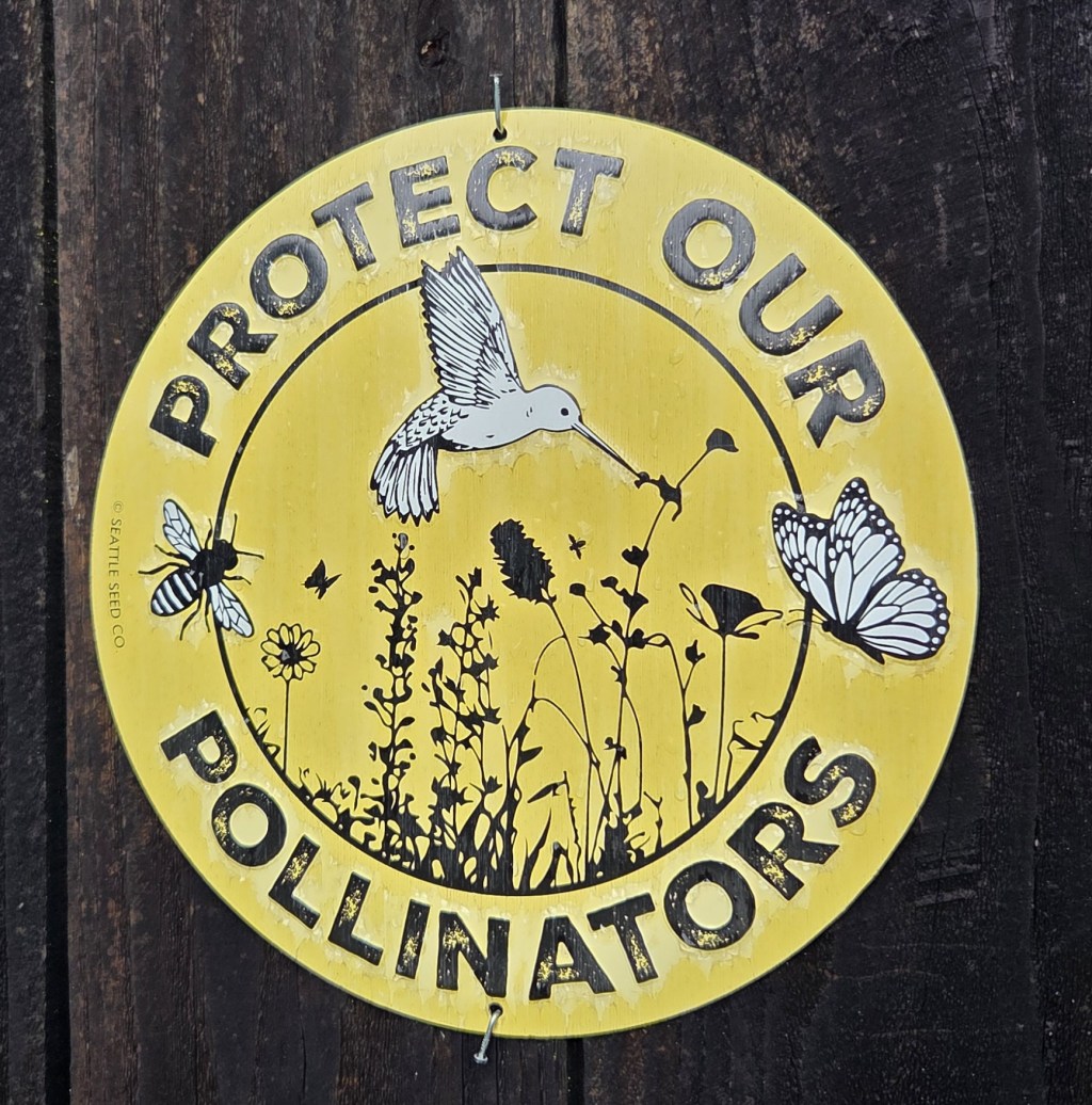 Earth Day Every&nbsp;Day